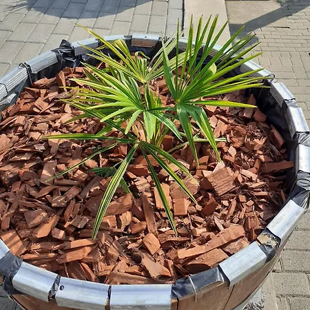 Tihanyi Villánykövesd